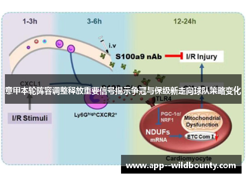 意甲本轮阵容调整释放重要信号揭示争冠与保级新走向球队策略变化