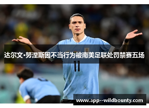 达尔文·努涅斯因不当行为被南美足联处罚禁赛五场